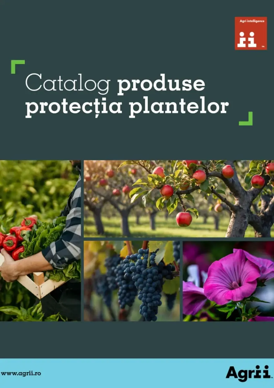 catalog image