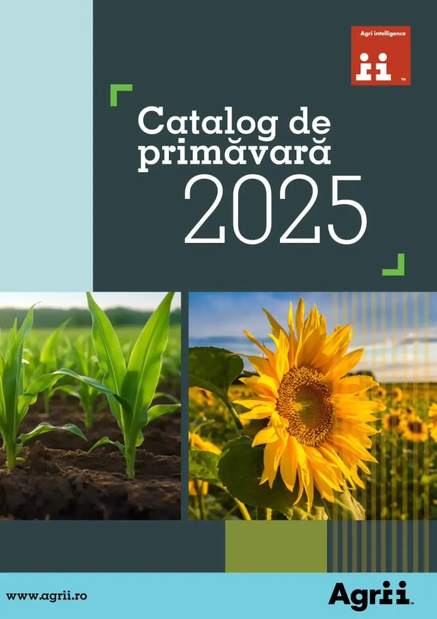 catalog image