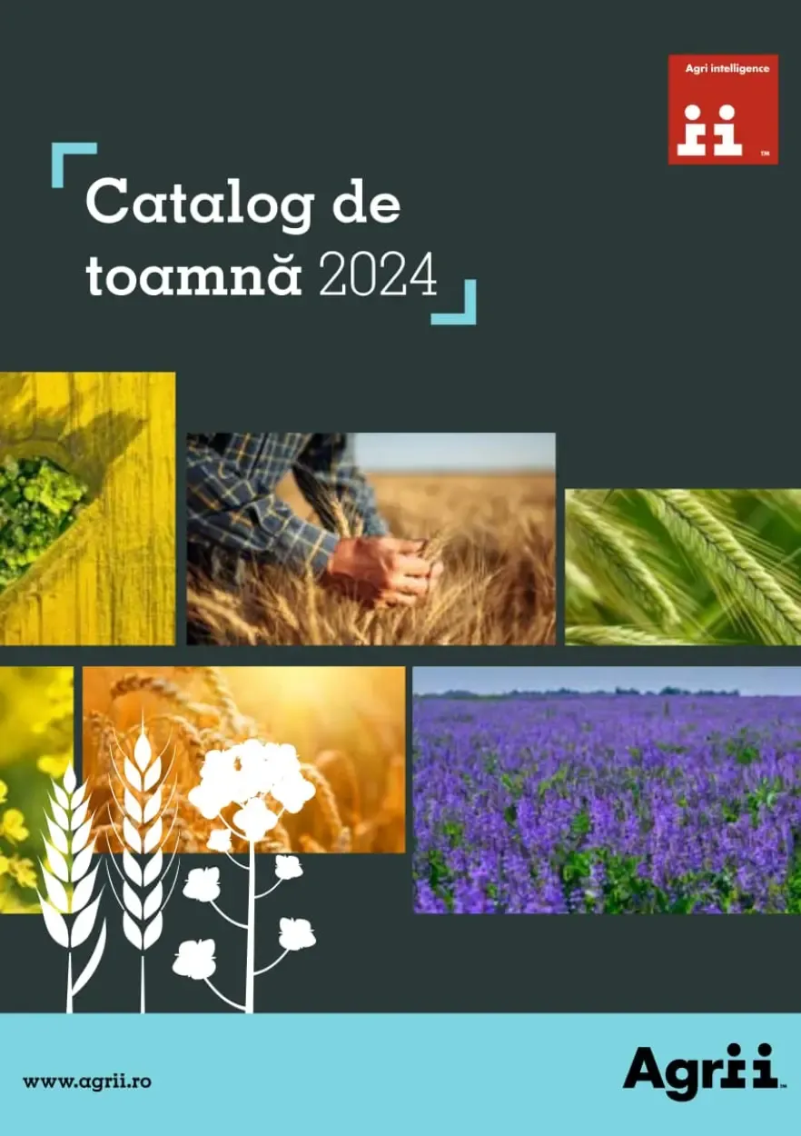 catalog image