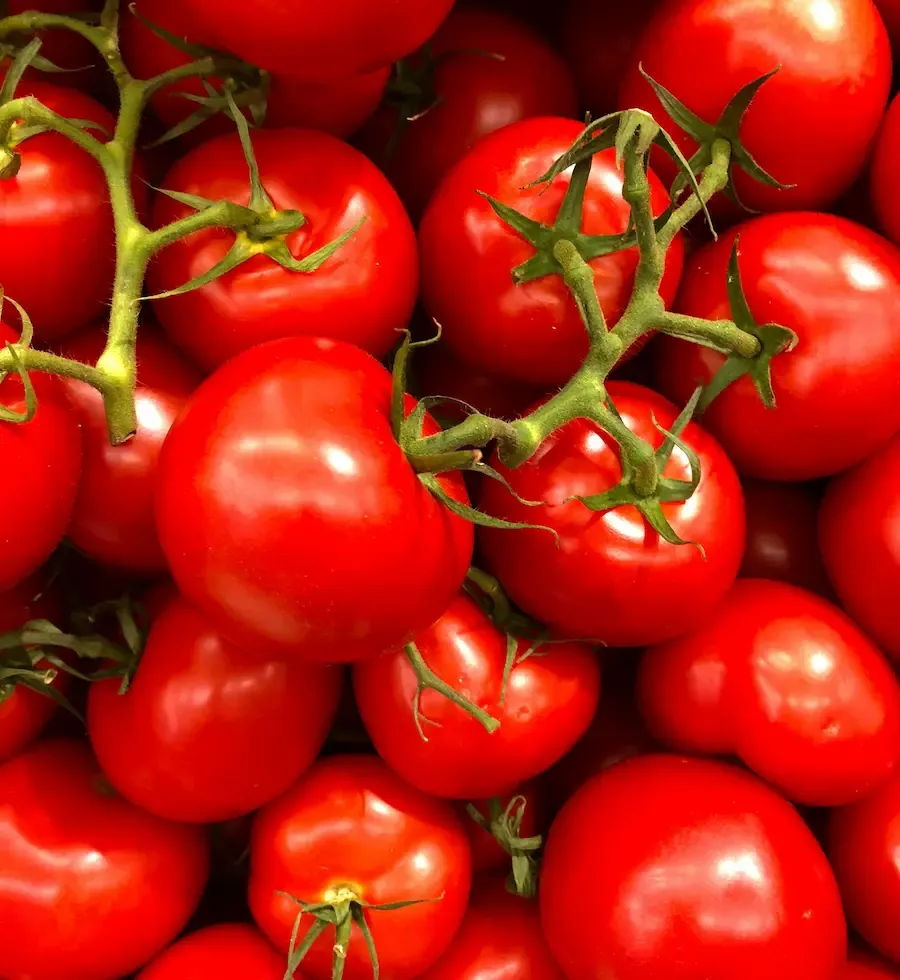 Tomate